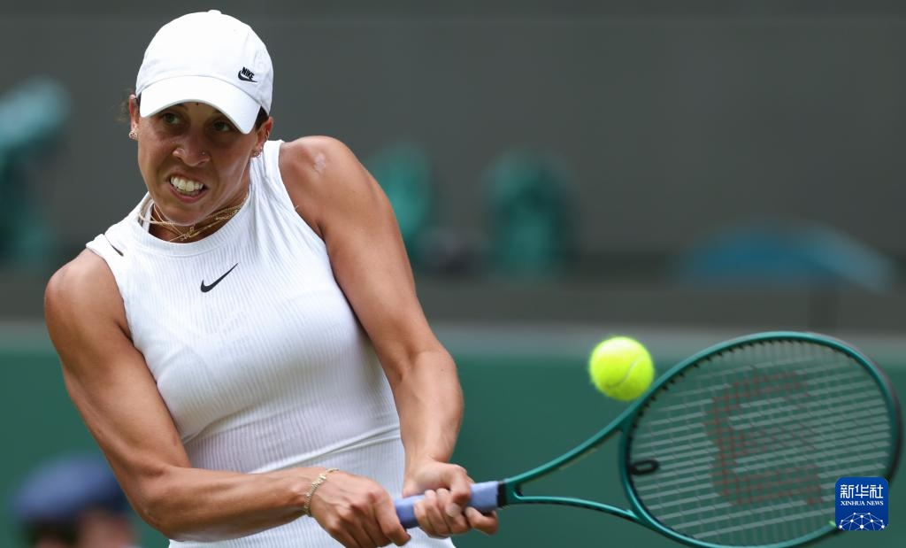 可预料的 可预料的