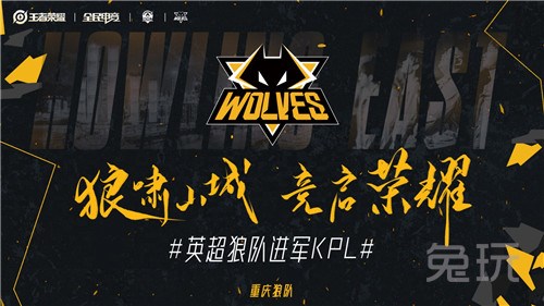 样本 样本